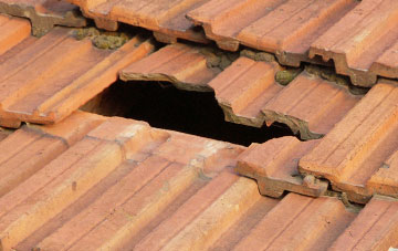 roof repair Staplehay, Somerset